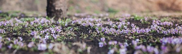 Лето стремительно ворвалось в Приморье