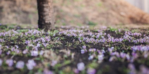 Лето стремительно ворвалось в Приморье