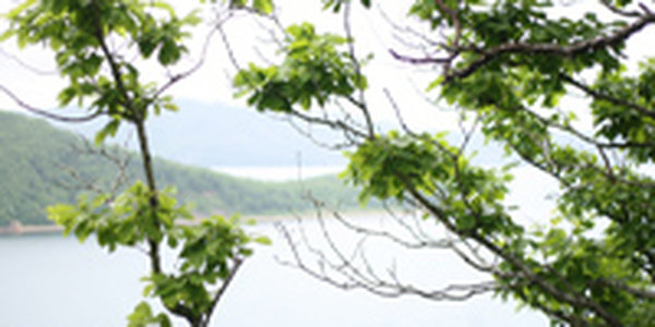 Сегодня во Владивостоке по-летнему тепло