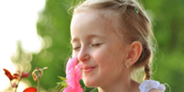 Каким оказался в Приморье завершающий месяц весны?