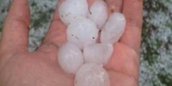 В Новосибирске выпал град размером с перепелиное яйцо