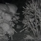 В восточных районах Приморья выпало 2,6 декадных нормы снега (ФОТО)