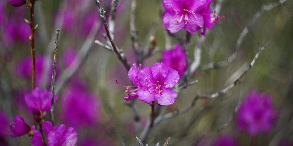 Температура воздуха в Приморье превышает норму на 3-8 °С и больше