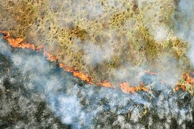 Класс пожароопасности леса в Приморье продолжит нарастать