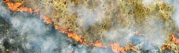 Класс пожароопасности леса в Приморье продолжит нарастать