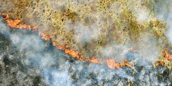 Класс пожароопасности леса в Приморье продолжит нарастать