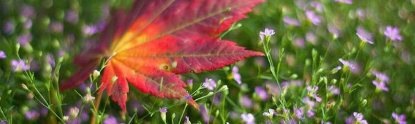 Синоптики рассказали о погоде в Приморье и Владивостоке на выходных