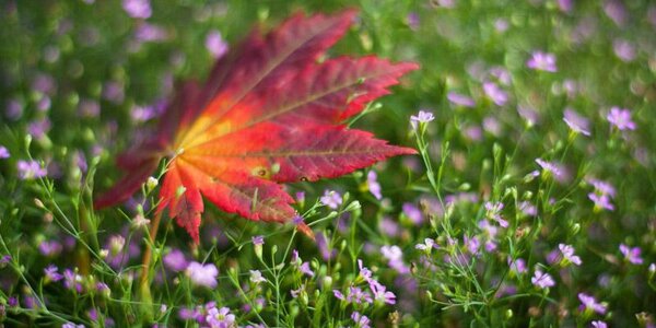 Синоптики рассказали о погоде в Приморье и Владивостоке на выходных