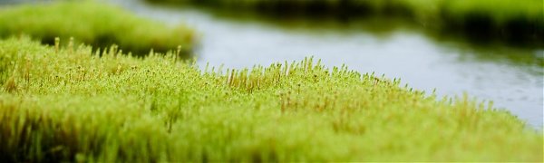 На реках Приморья продолжается подъем уровня воды