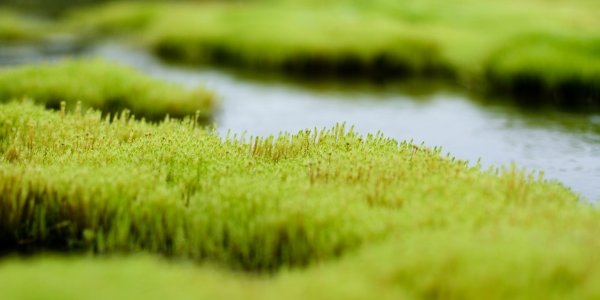 На реках Приморья продолжается подъем уровня воды