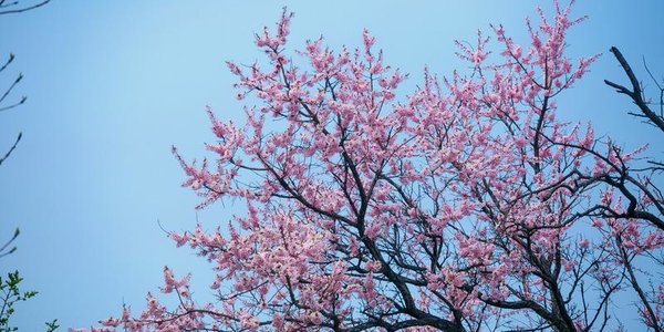 В среду во Владивостоке без существенных осадков