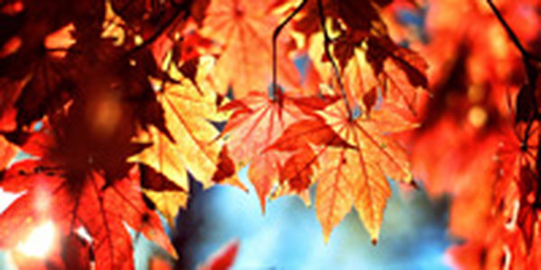 Октябрь как повод для вдохновения