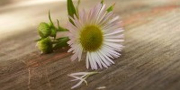 Июнь в Приморье выдался жарким