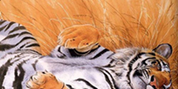 Петербург готовится к тигриному саммиту