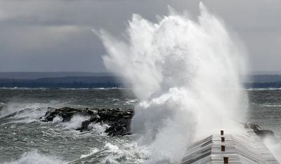 В ближайшие сутки в Японском море будет циклон