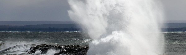 В ближайшие сутки в Японском море будет циклон