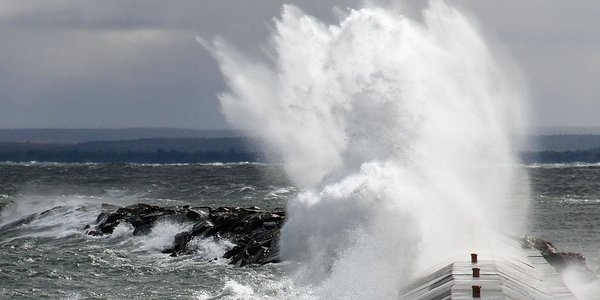 В ближайшие сутки в Японском море будет циклон