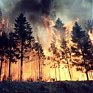 Забайкалье объято огнем