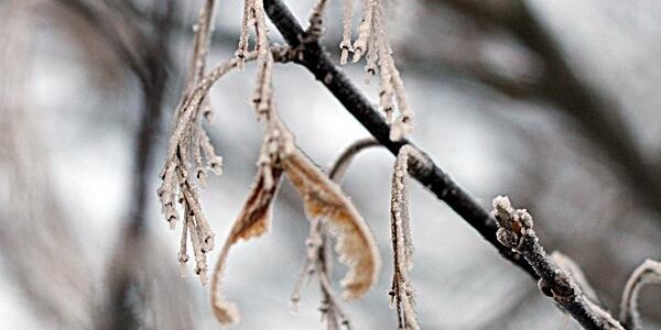 В среду во Владивостоке будет ветрено и морозно