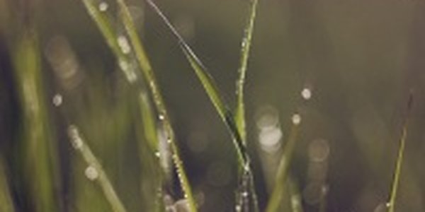 Выходные в Приморье выдались теплыми