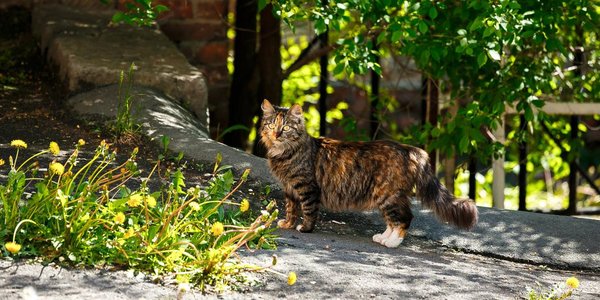 В выходные дни в Приморье до +26 °C, на побережье прохладнее