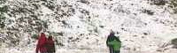 В Австрии снег выпал посреди лета