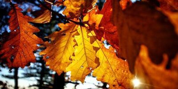 Рабочая неделя в Приморье будет теплой и спокойной