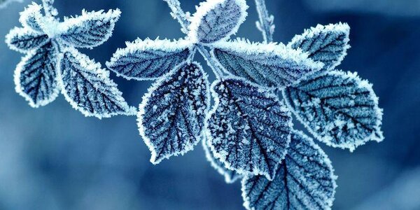 Небольшой мороз до -5 °С отмечается в горных районах Приморья по ночам