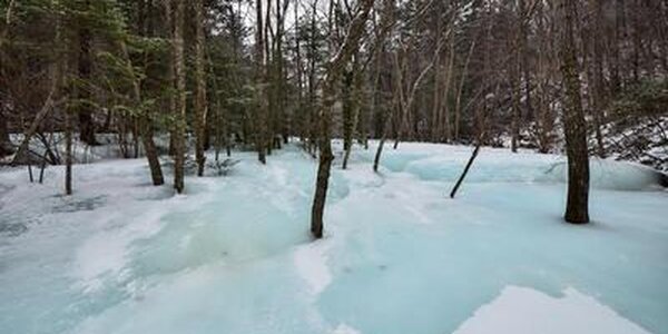 Гидрометцентр России: В шести регионах России установился снежный покров