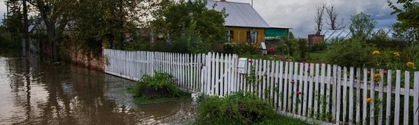 Режим ЧС регионального характера введён в 7 районах Приморья