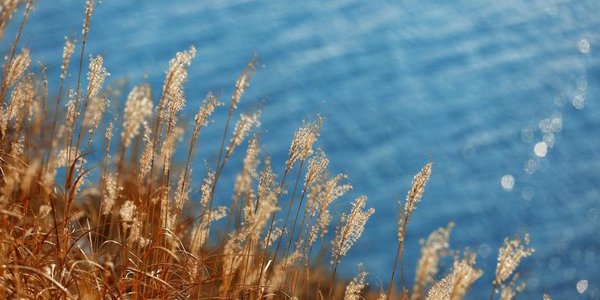 Холод в Приморье вскоре отступит