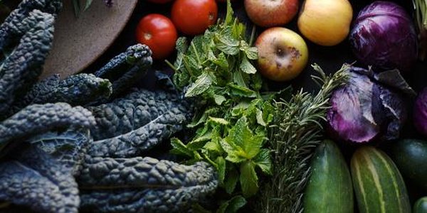 Заключительная ярмарка выходного дня пройдёт во Владивостоке 25 и 26 ноября