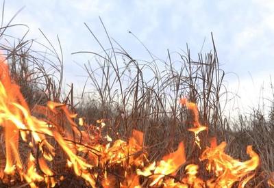 Дождь в Приморье почти не повлиял на ситуацию с лесными пожарами