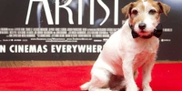 Пес Угги попрощался с кинематографом