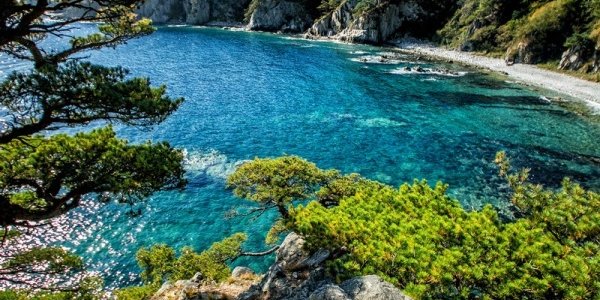 В Приморье пришло «бабье лето»