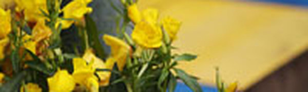 В субботу в Приморье по-летнему тепло, в воскресенье — дождливо