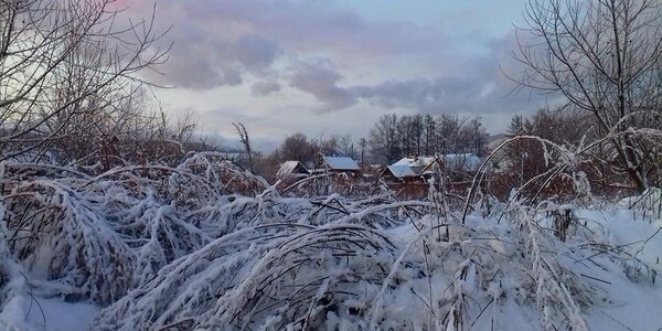 Теплую субботу сменит морозное воскресенье: всё о погоде в Приморье в первые выходные зимы 