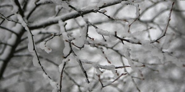 Осадки, местами сильные, в виде снега, дождя со снегом: всё о прохождении циклона в Приморье на Примпогоде