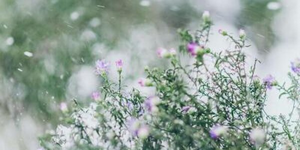 Синоптики рассказали, какими выдались последние выходные осени в Приморье