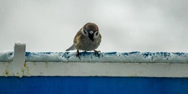 Синоптики озвучили прогноз погоды на рабочую неделю: со среды в Приморье серьезно похолодает
