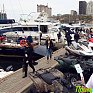 Vladivostok Boat Show