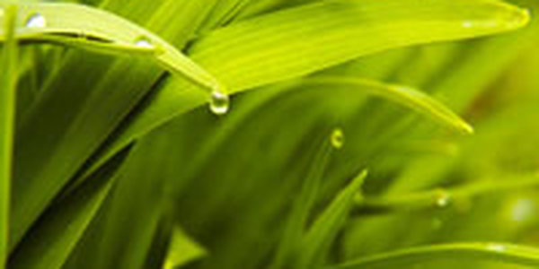 В воскресенье в Приморье местами пройдет небольшой дождь