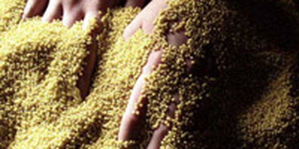 Больных СПИДом в Приморье кормили крупой с живыми и мертвыми насекомыми