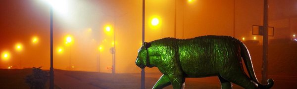 Аномально теплыми выдались первые выходные зимы в Приморье