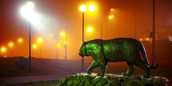 Аномально теплыми выдались первые выходные зимы в Приморье