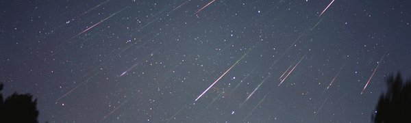 Последний звездопад осени украсит небо Приморья в ноябре