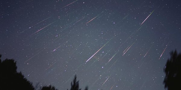 Последний звездопад осени украсит небо Приморья в ноябре