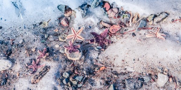 В воскресенье в Приморье потеплело