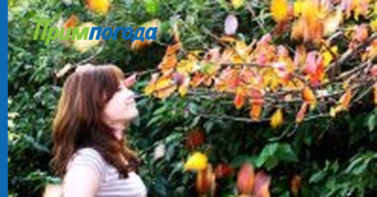 Lewis hamilton nicki minaj. Сентябрь надпись. Сентябрь ники. Сентябрь ники. Сентябрь надпись.