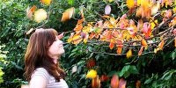 Осеннее похолодание пришло в Приморье